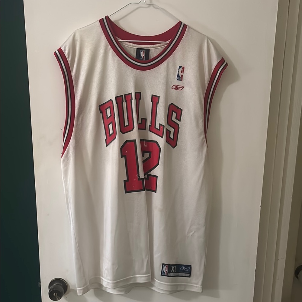 Chicago Bulls Kirk Hinrich Jersey
